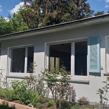 Gartenchalet Rotkehlchen Bad Homburg vor der Höhe Zewnętrze zdjęcie
