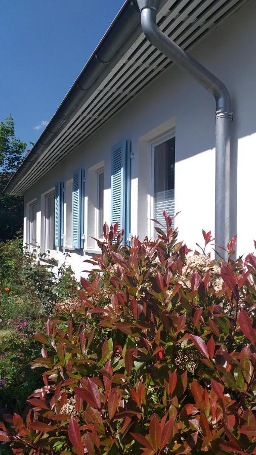 Gartenchalet Rotkehlchen Bad Homburg vor der Höhe Zewnętrze zdjęcie