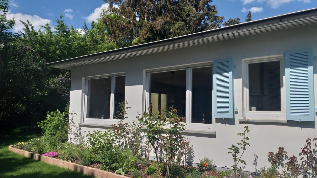 Gartenchalet Rotkehlchen Bad Homburg vor der Höhe Zewnętrze zdjęcie